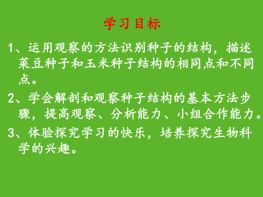 观察种子的结构(优质课)课件.ppt_第2页