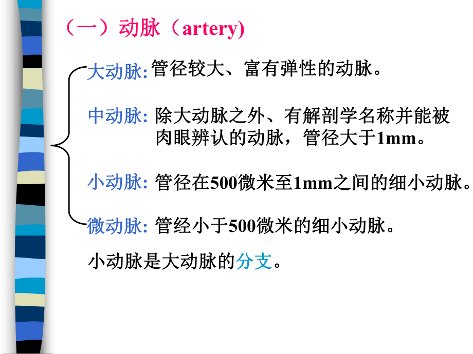 生命科学-课件-人体组织解剖学-教学课件参考1.ppt_第3页