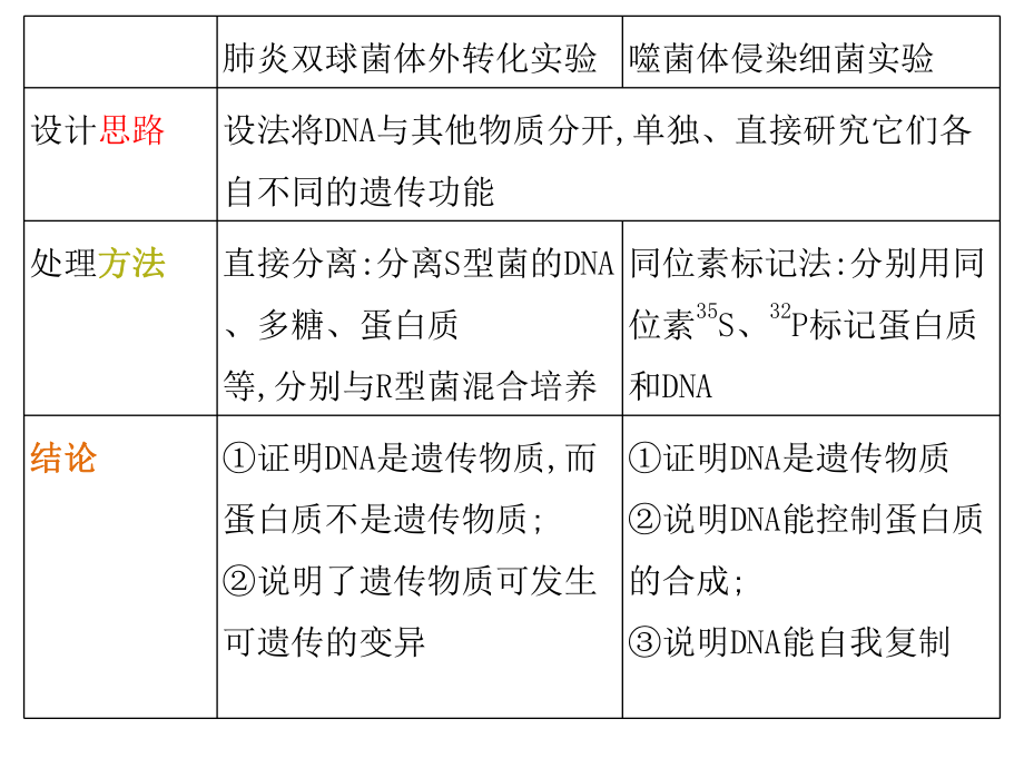 生物必修二复习-遗传的分子基础课件.pptx_第3页