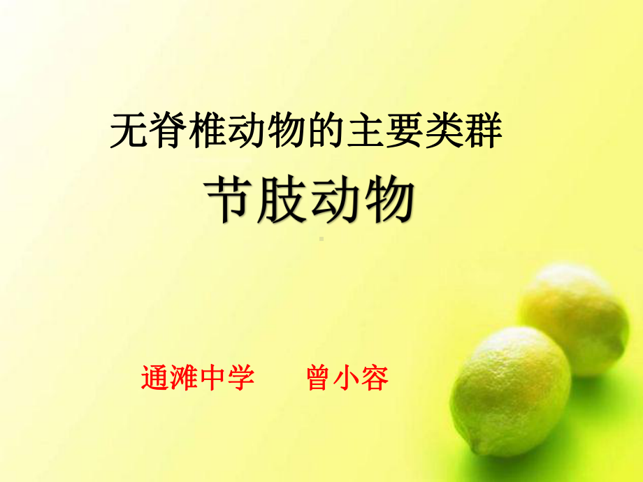 节肢动物课件.ppt_第1页