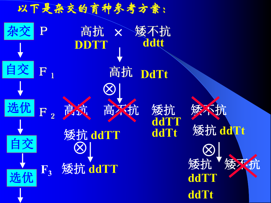 生物育种专题课件.ppt_第3页