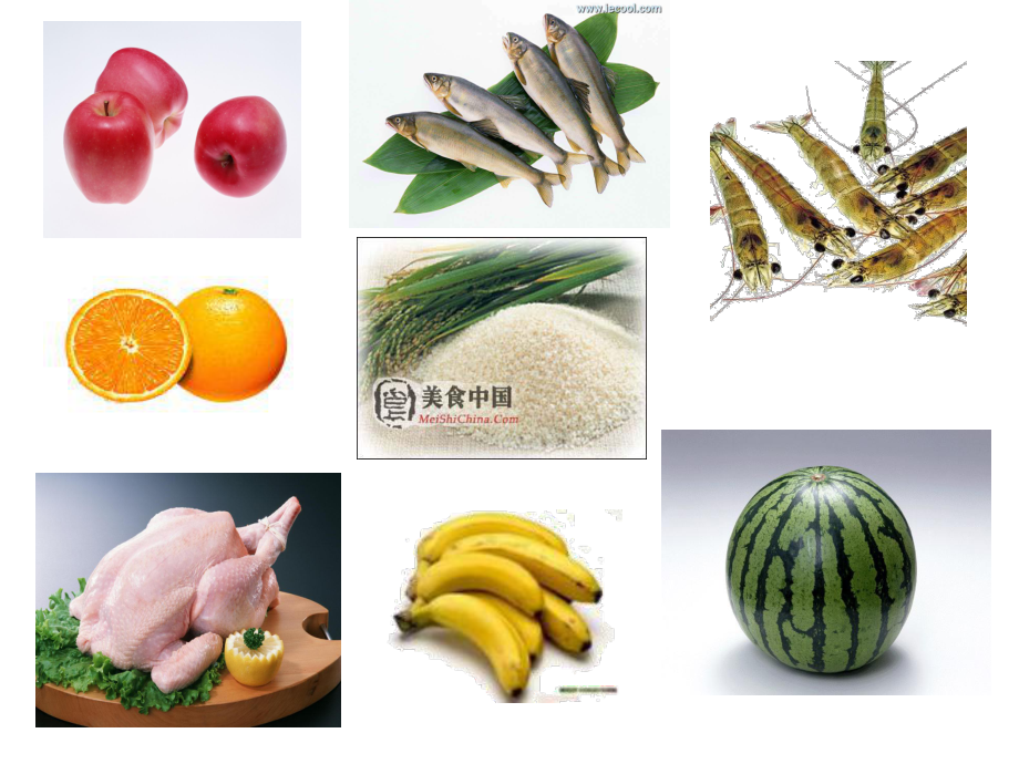 生的食物和熟的食物课件讲义.ppt_第1页