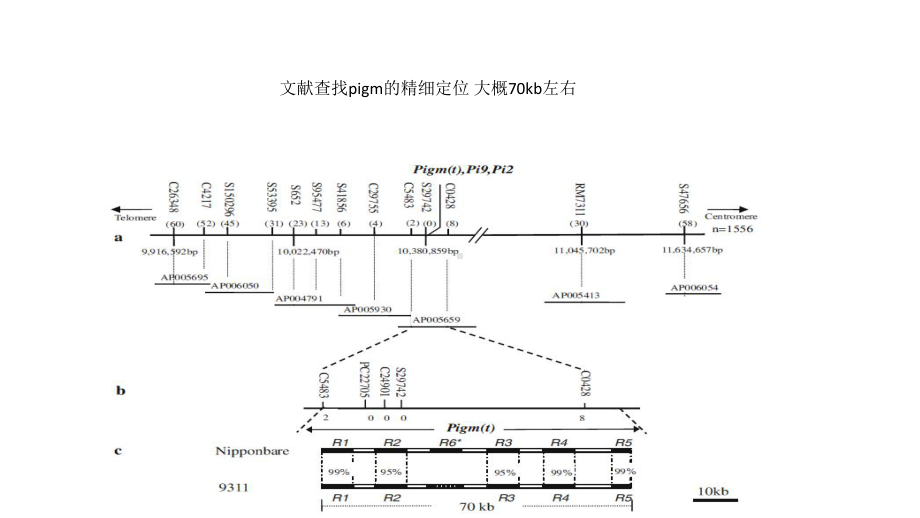 设计引物前的基因序列比对和合适基因序列查找例pigm课件.pptx_第2页