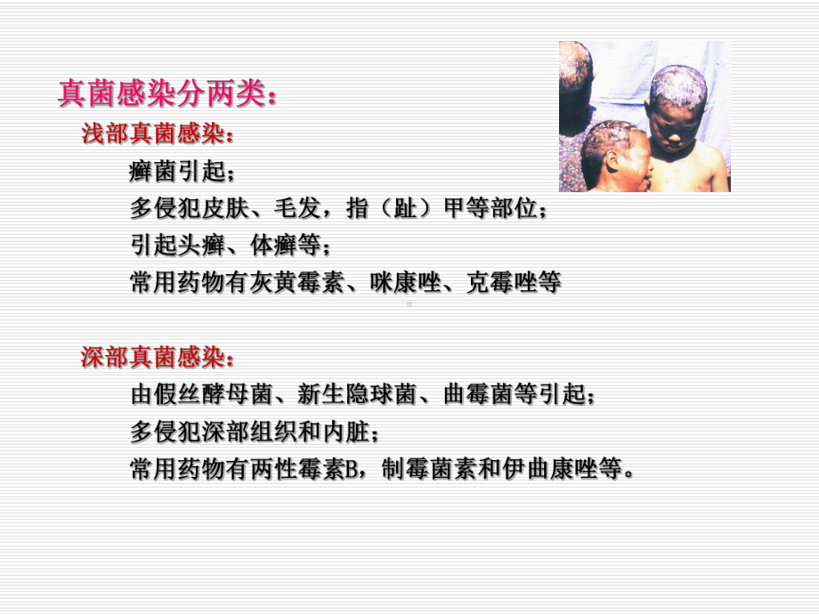 药理学-抗真菌药与抗病毒药课件.ppt_第3页