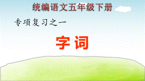 统编五年级下册语文期末专项复习-6大专项复习(单击有答案)人教部编版课件.ppt