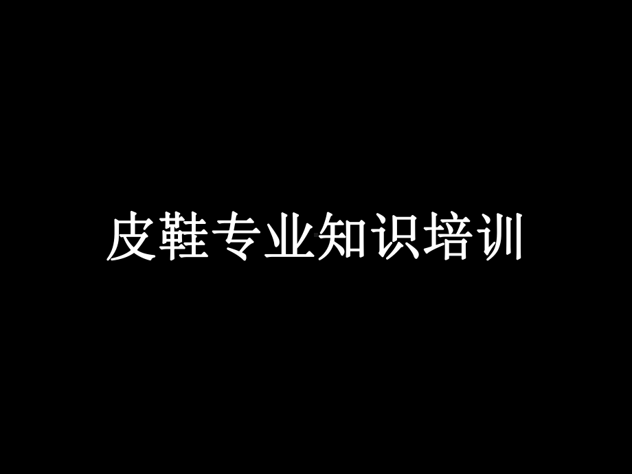 皮鞋专业知识培训课件.pptx_第1页