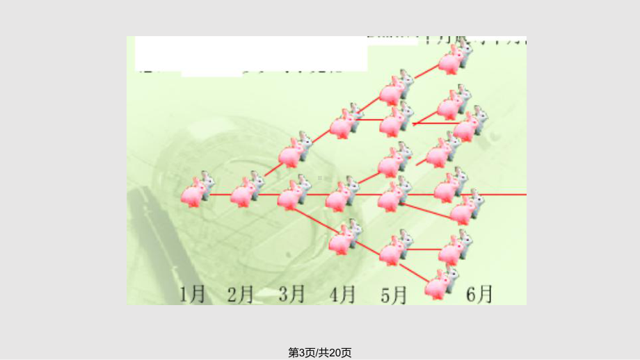 那契数列课件.pptx_第3页