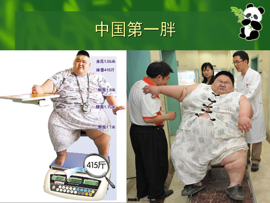 肥胖的危害与防治汇总课件.ppt_第2页