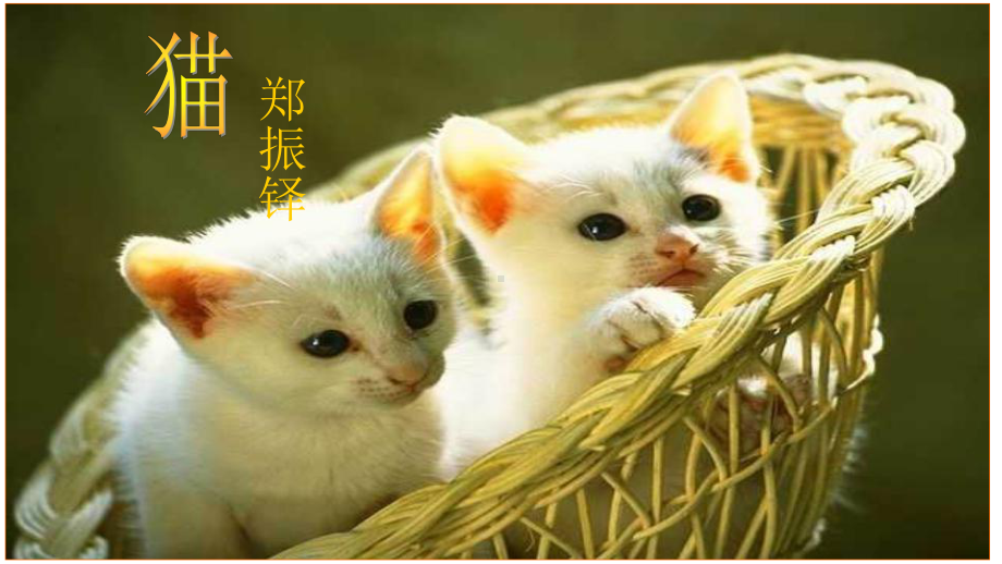 部编七年级语文上册-16-猫-课件.ppt_第1页