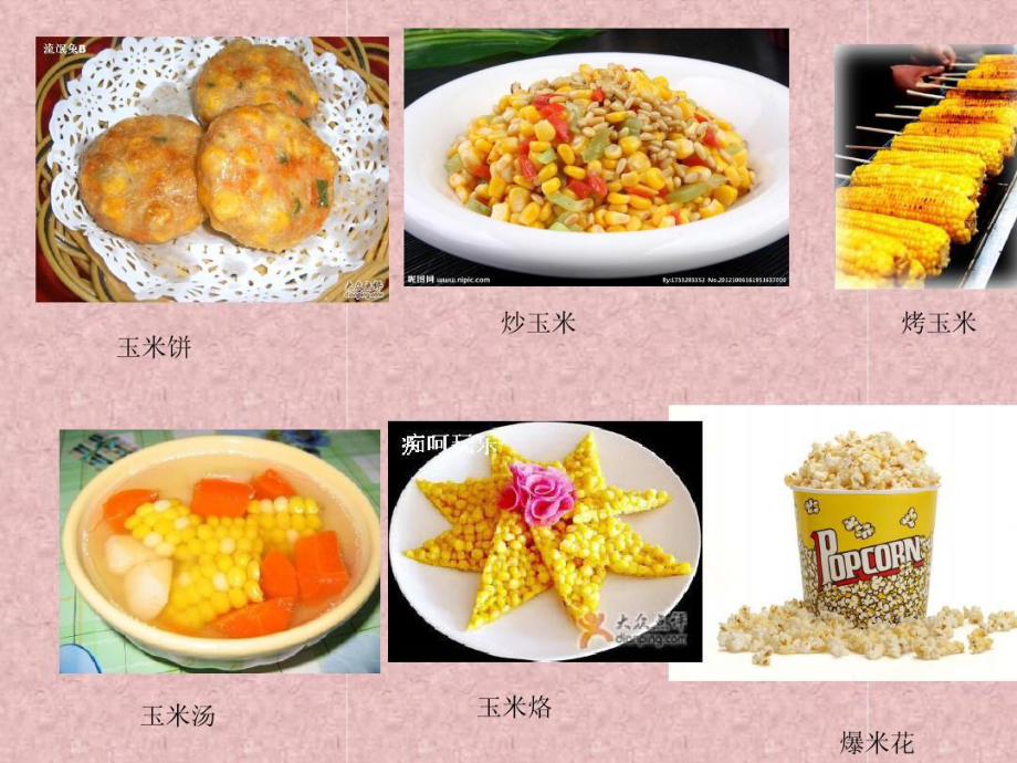 种子食品品尝会课件.ppt_第3页