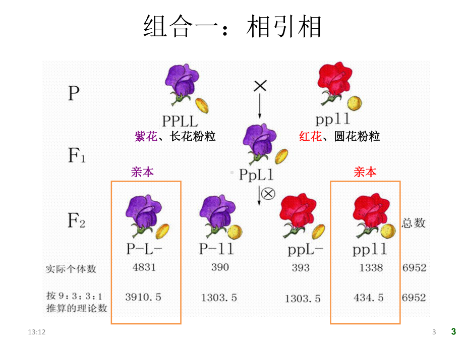 第四章遗传作图资料课件.ppt_第3页