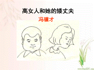 讲课-高女人和她的矮丈夫课件.ppt