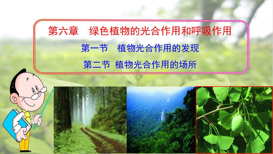 苏教版七年级生物上册61-62--植物光合作用-课件.ppt_第2页