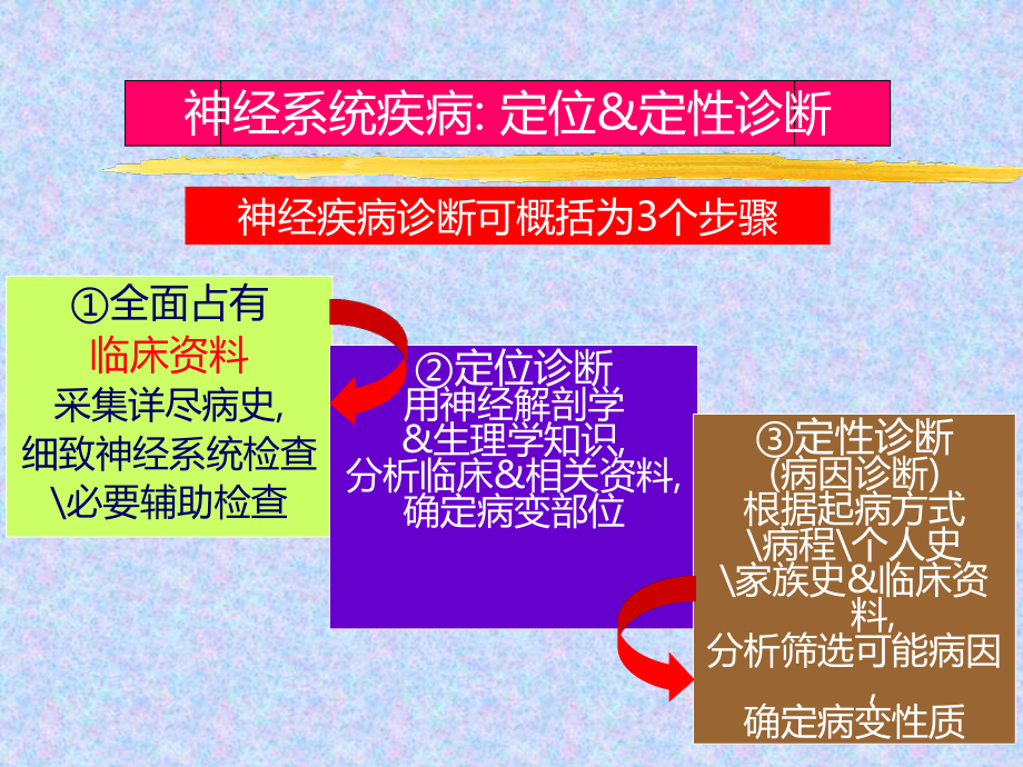 神经系统定位定性诊断(同名64)课件.ppt_第3页