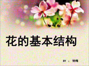 花的基本结构(课堂)课件.ppt