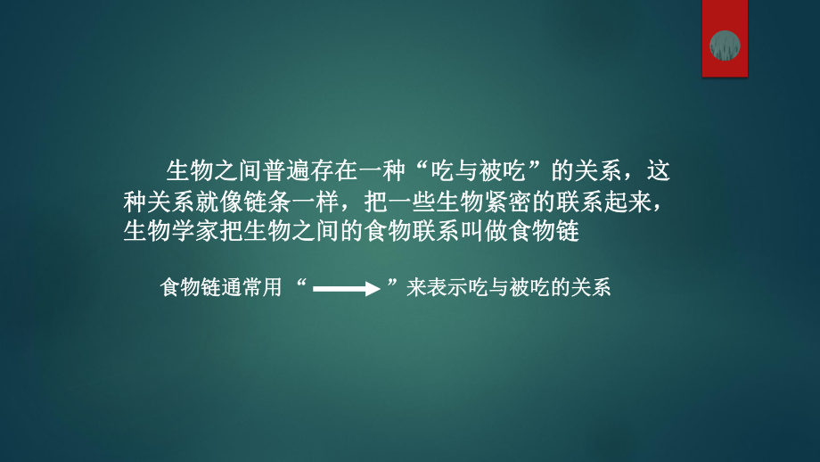 苏教版科学六年级下册3有趣的食物链课件.pptx_第3页