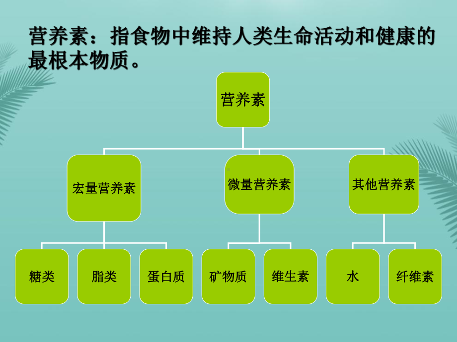 运动营养学基础(精选优秀)课件.ppt_第2页