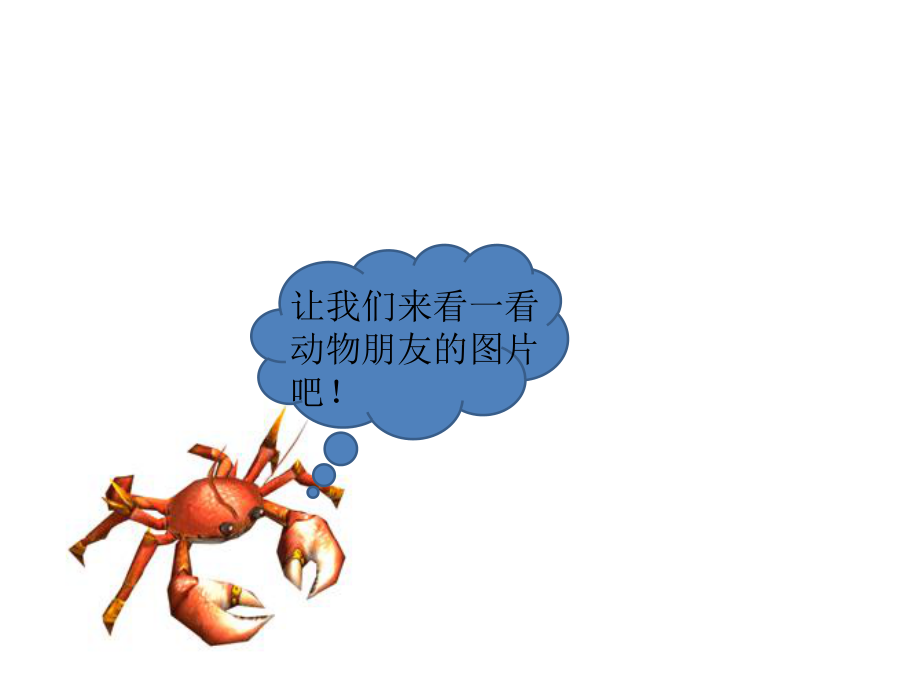 身边的动物朋友课件.ppt_第2页