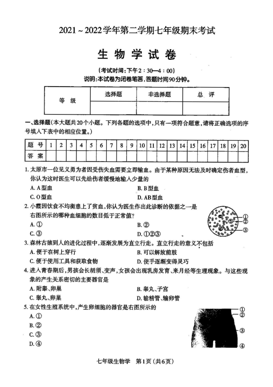 山西省太原市2021-2022七年级初一下学期期末生物试卷+答案.pdf_第1页