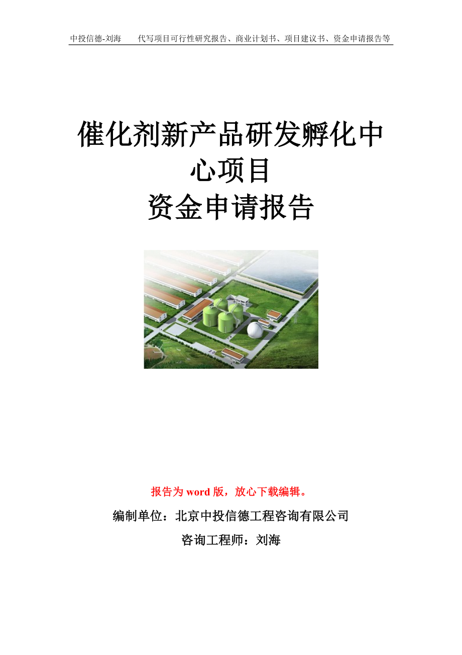 催化剂新产品研发孵化中心项目资金申请报告模板.doc_第1页