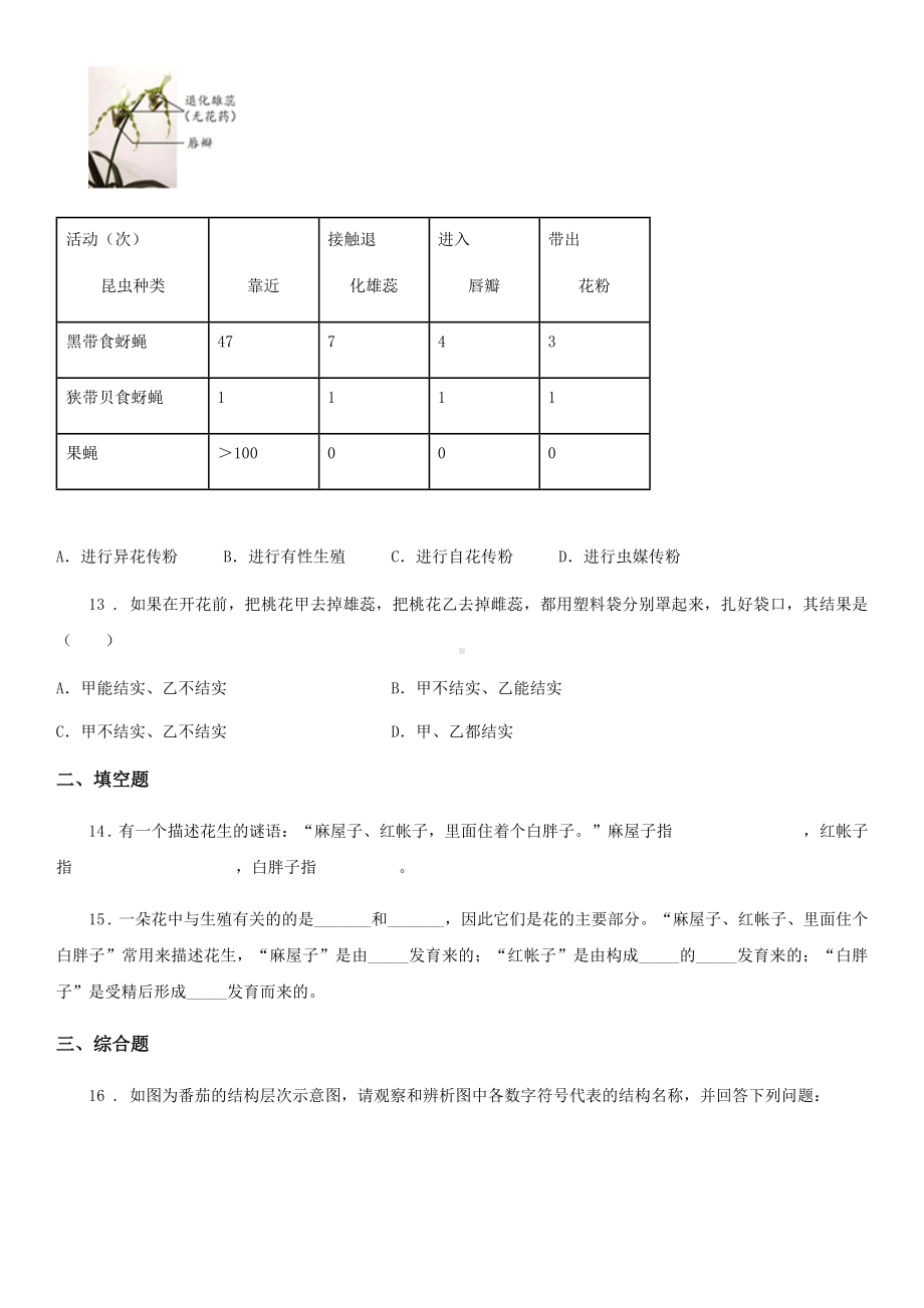 苏教版八年级下册生物-21.2植物的有性生殖-同步测试题.doc_第3页