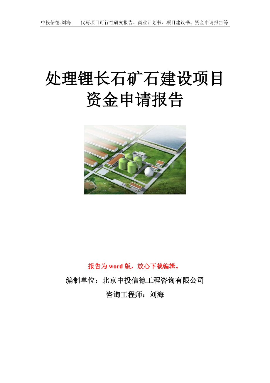 处理锂长石矿石建设项目资金申请报告模板.doc_第1页