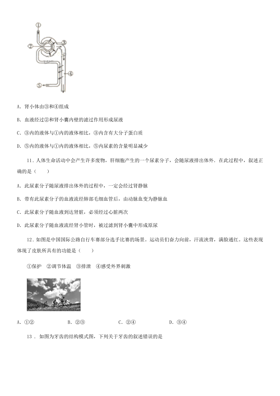 苏教版七年级下册生物-第11章-人体内废物排入环境巩固训练题.doc_第3页