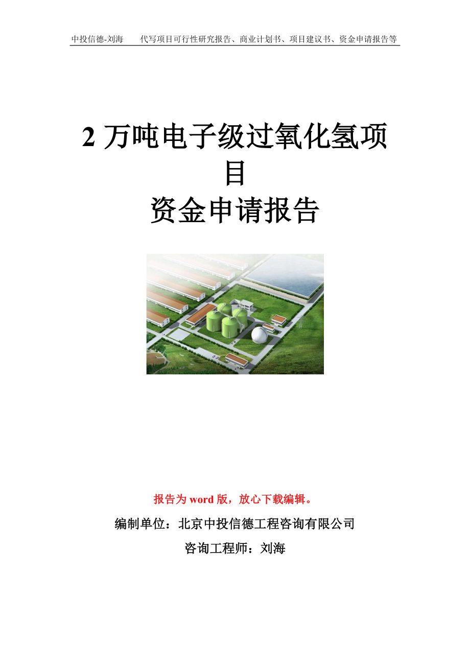 2万吨电子级过氧化氢项目资金申请报告模板.doc_第1页