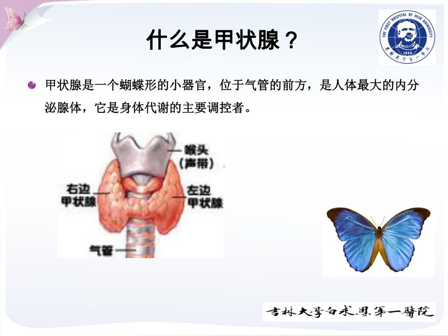 医学课件外科颈部疾病.pptx_第3页