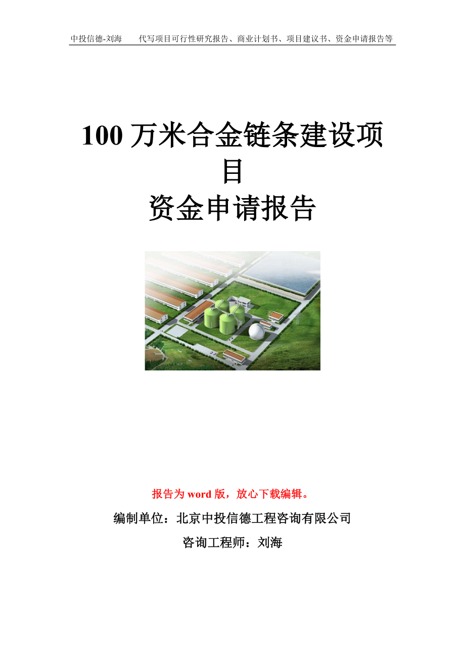 100万米合金链条建设项目资金申请报告模板.doc_第1页