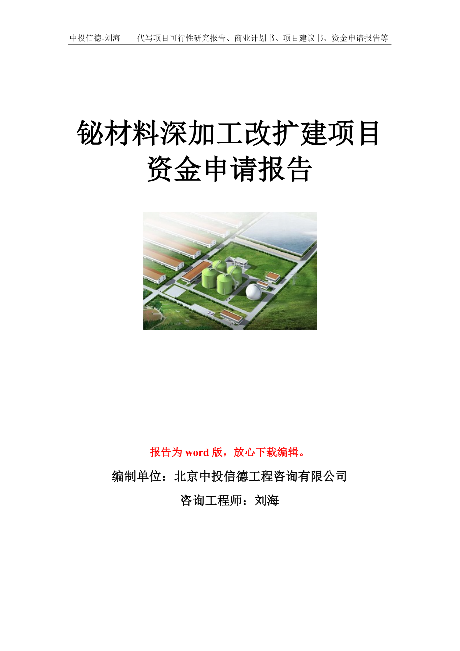 铋材料深加工改扩建项目资金申请报告模板.doc_第1页