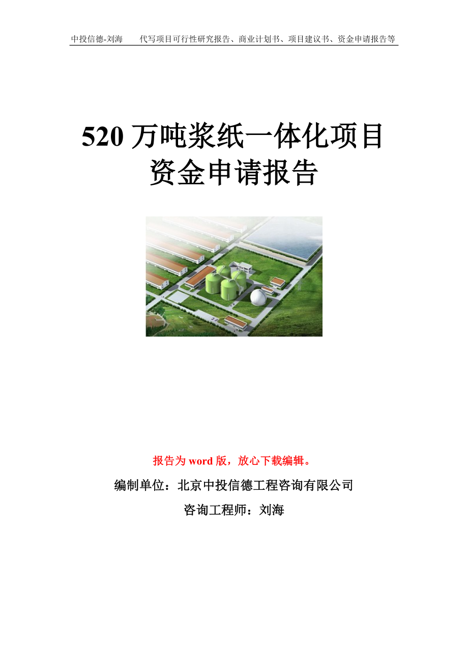 520万吨浆纸一体化项目资金申请报告模板.doc_第1页