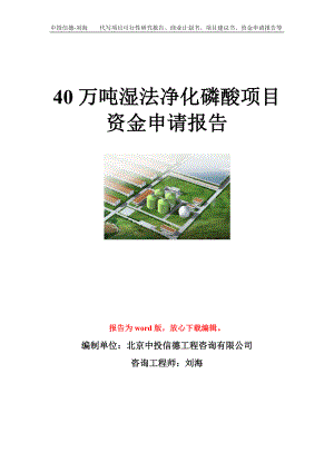 40万吨湿法净化磷酸项目资金申请报告模板.doc