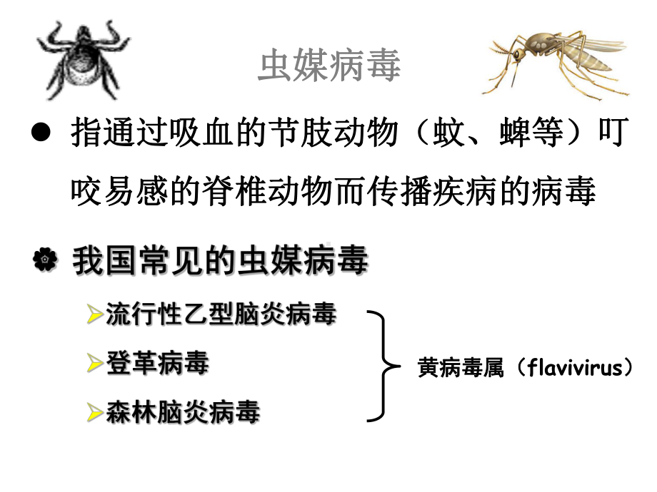 医学微生物学课件16虫媒病毒.pptx_第2页