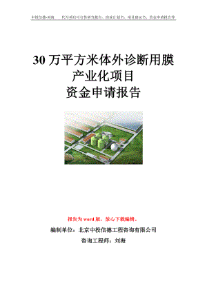 30万平方米体外诊断用膜产业化项目资金申请报告模板.doc