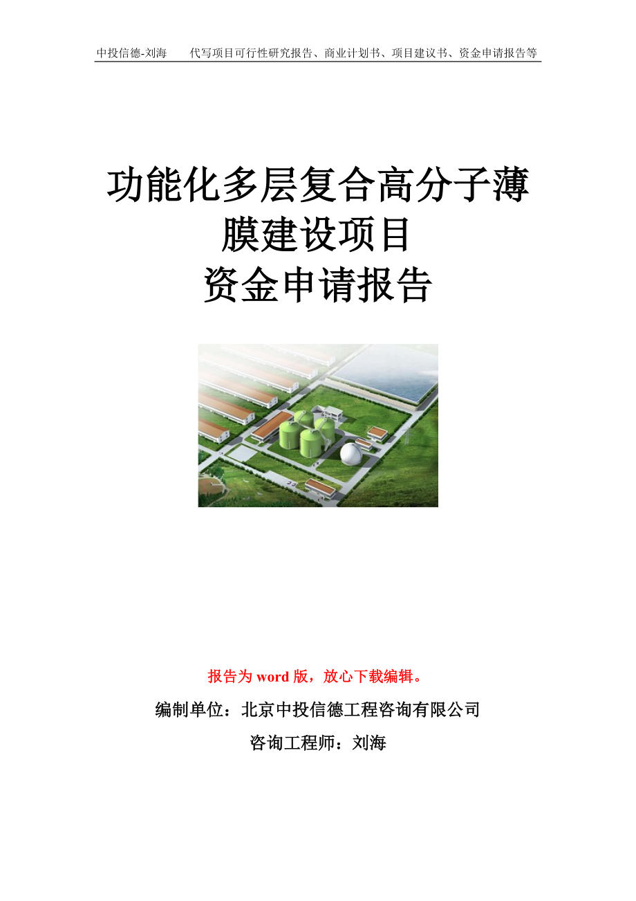 功能化多层复合高分子薄膜建设项目资金申请报告模板.doc_第1页