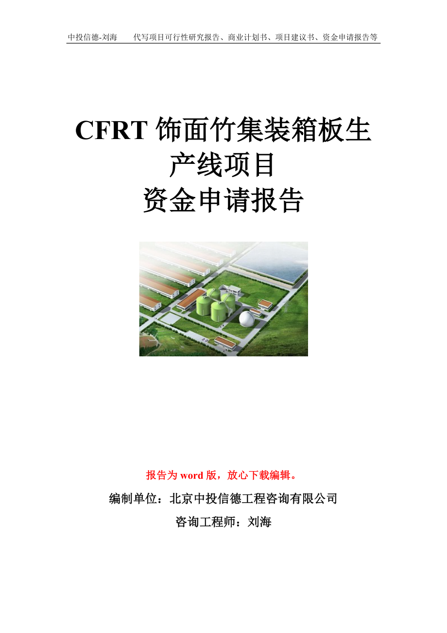 CFRT饰面竹集装箱板生产线项目资金申请报告模板.doc_第1页