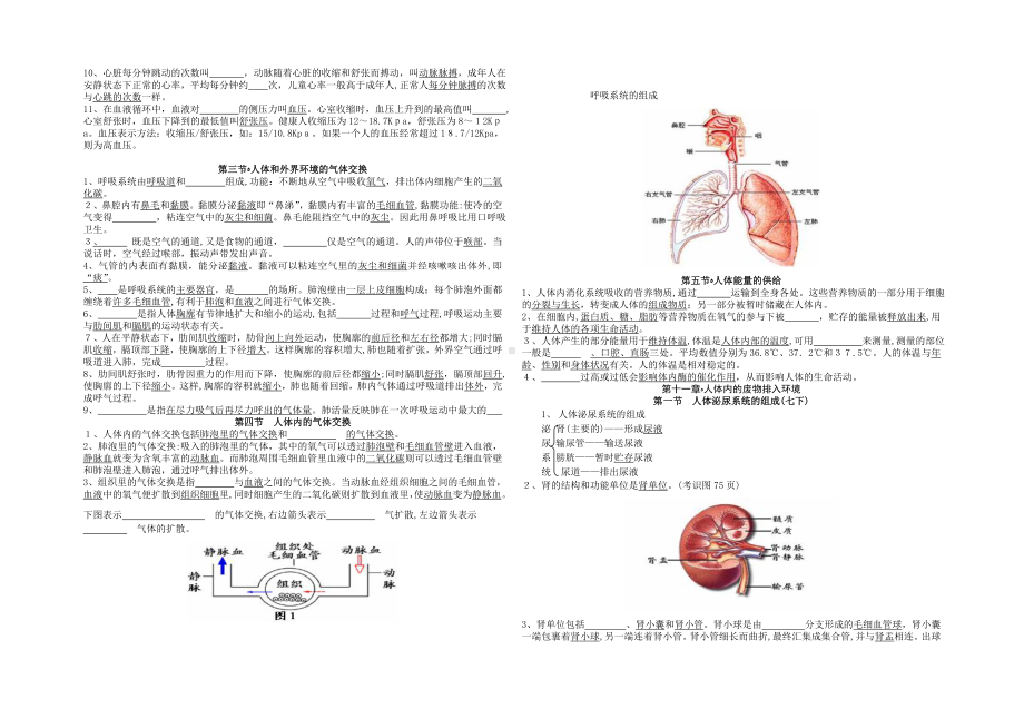 苏教版初中生物七年级下册必记知识点(学生版).doc_第3页