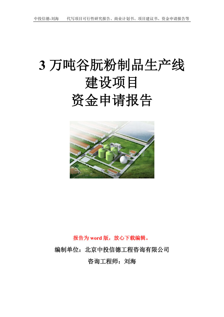 3万吨谷朊粉制品生产线建设项目资金申请报告模板.doc_第1页