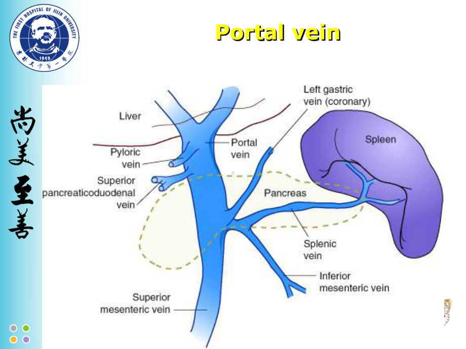 医学课件外科门脉高压.pptx_第2页