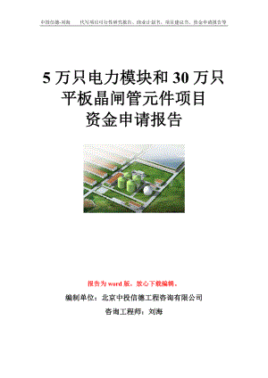 5万只电力模块和30万只平板晶闸管元件项目资金申请报告模板.doc