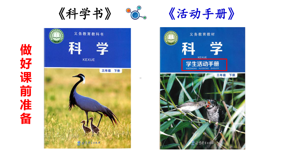 开学第一课（ppt课件） (共21张PPT)-2023新教科版三年级下册《科学》.pptx_第2页