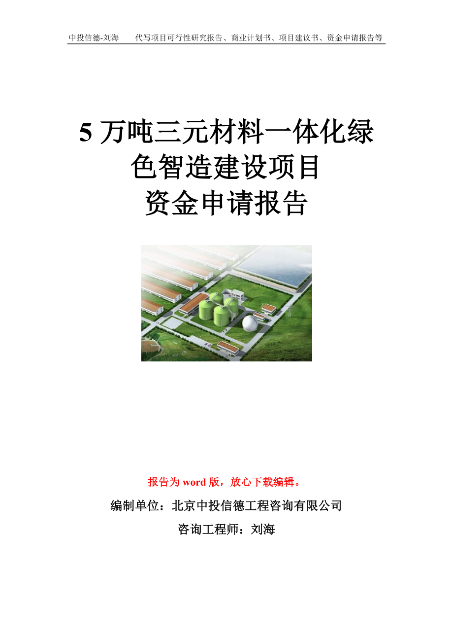 5万吨三元材料一体化绿色智造建设项目资金申请报告模板.doc_第1页