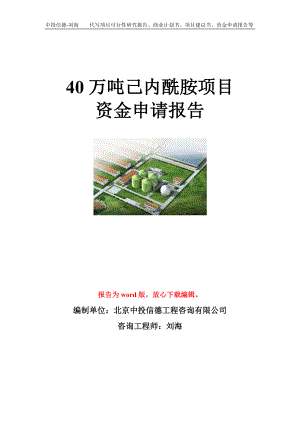 40万吨己内酰胺项目资金申请报告模板.doc