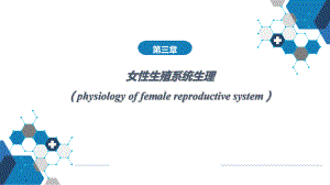 妇产科课件第三章女性生殖系统生理.pptx