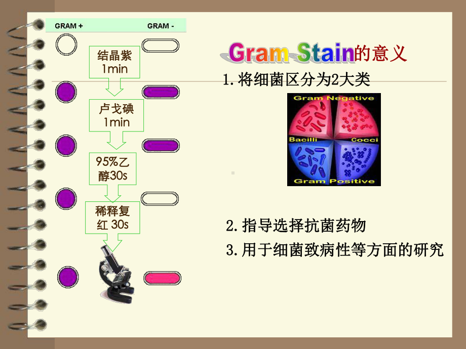 医学微生物学课件8.细菌的检查方法.pptx_第3页