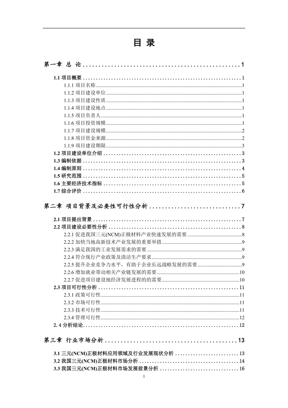 三元(NCM)正极材料项目可行性研究报告范文.doc_第2页