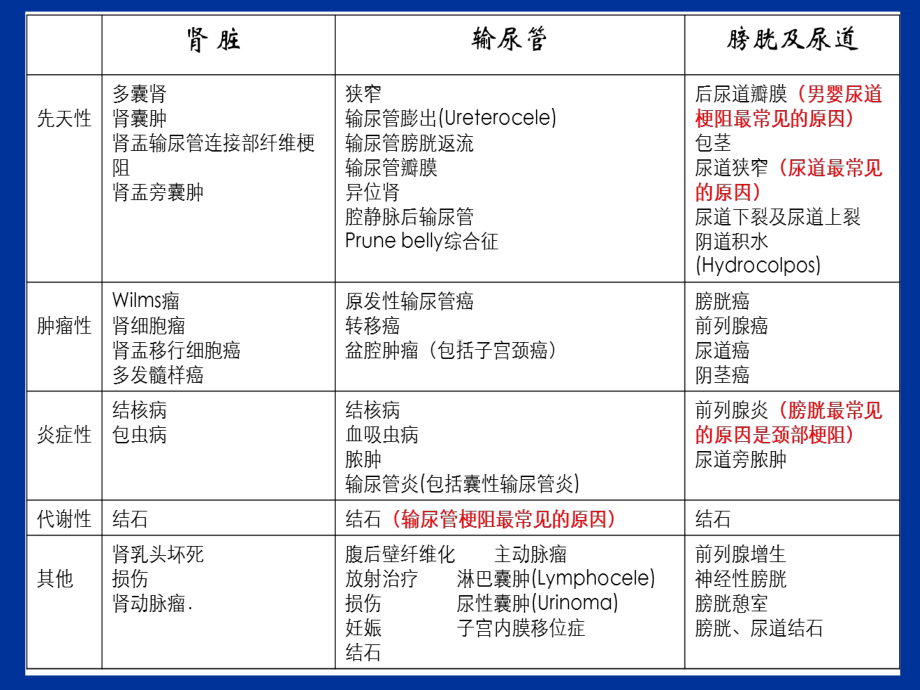 医学教学课件10.18泌尿系梗阻.pptx_第3页