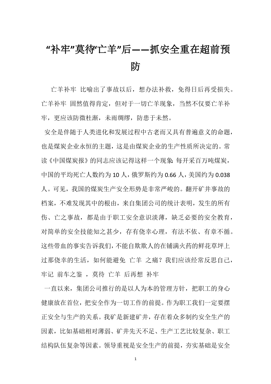 “补牢”莫待“亡羊”后-抓安全重在超前预防模板范本.docx_第1页