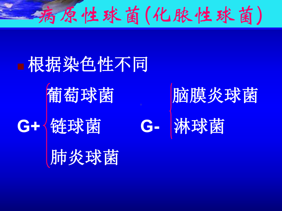 医学微生物学课件第九章 葡萄球菌.pptx_第2页